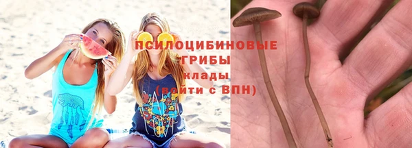 ГАЛЛЮЦИНОГЕННЫЕ ГРИБЫ Фурманов