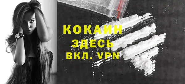 шишки Волоколамск